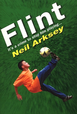 Book cover for Flint