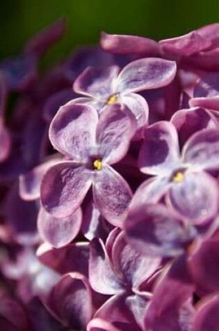 Cover of Close-Up of Lilac Blooms Journal