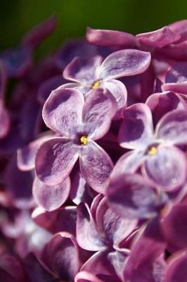 Book cover for Close-Up of Lilac Blooms Journal