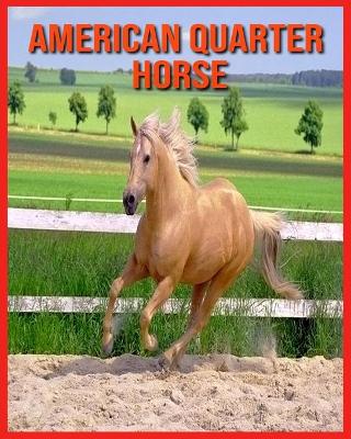 Book cover for American Quarter Horse