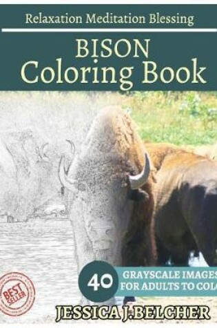 Cover of Bison Coloring Book for Adults Relaxation Meditation Blessing