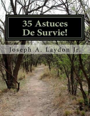 Book cover for 35 Astuces De Survie!
