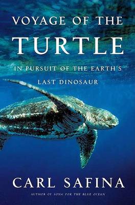 Book cover for Voyage of the Turtle