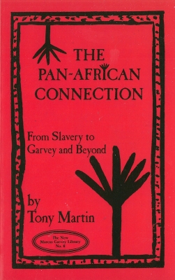 Book cover for Pan-african Connection