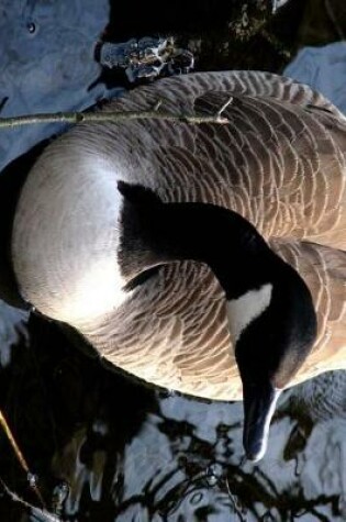 Cover of Canadian Goose Coming for a Closer Look Journal