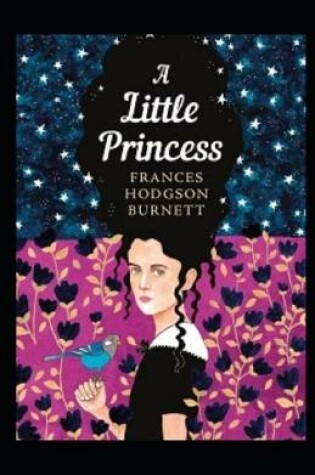 Cover of A Little Princess Illustrate