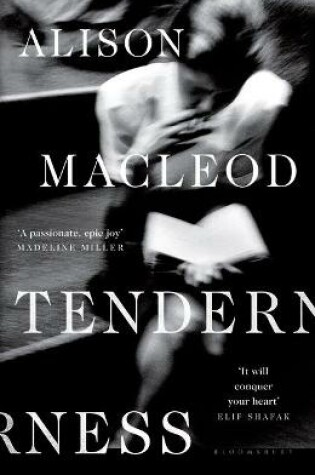 Cover of Tenderness