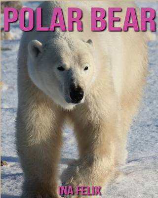 Book cover for Polar Bear