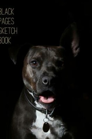 Cover of Black Pages Black Dog Sketchbook