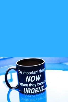 Book cover for Do Important things now before they become Urgent