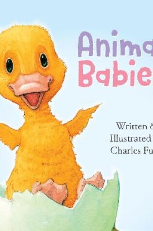 Cover of Animal Babies