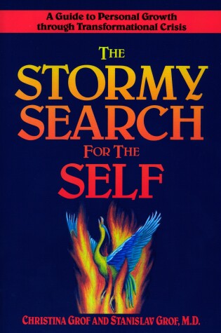 Cover of The Stormy Search for the Self