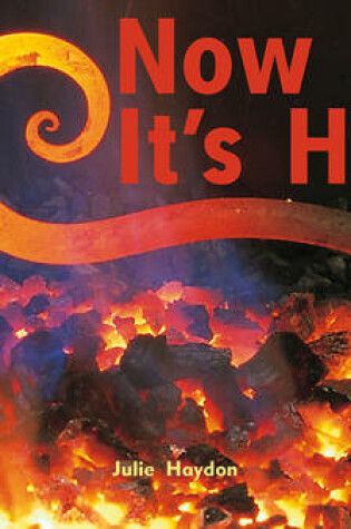 Cover of Now It's Hot!