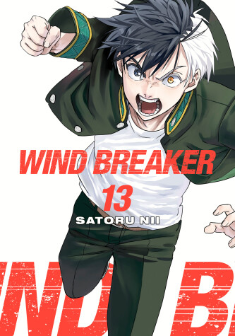 Cover of WIND BREAKER 13