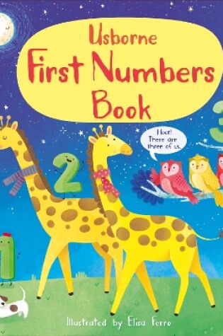 Cover of First Numbers Book