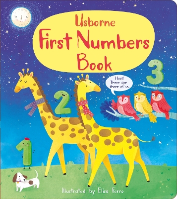 Book cover for First Numbers Book