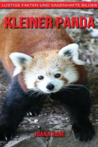 Cover of Kleiner Panda