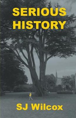 Book cover for Serious History