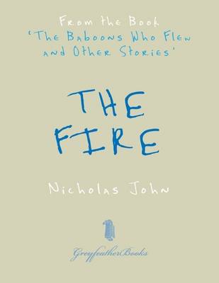 Book cover for The Fire - From the Book The Baboons Who Flew and Other Stories