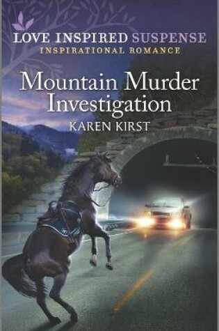 Cover of Mountain Murder Investigation