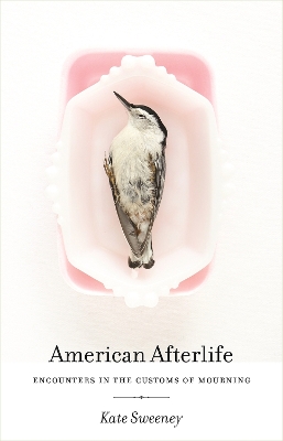 Book cover for American Afterlife