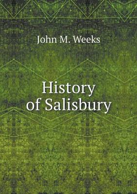 Book cover for History of Salisbury