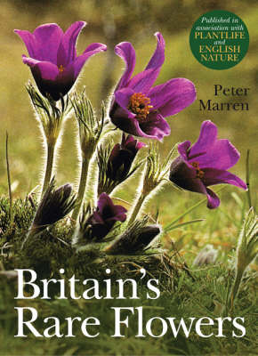 Book cover for Britain's Rare Flowers