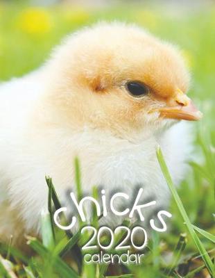 Book cover for Chicks 2020 Calendar