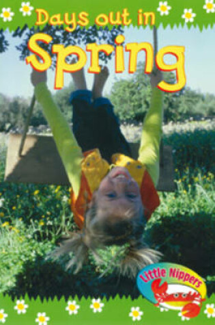 Cover of Spring Big Book