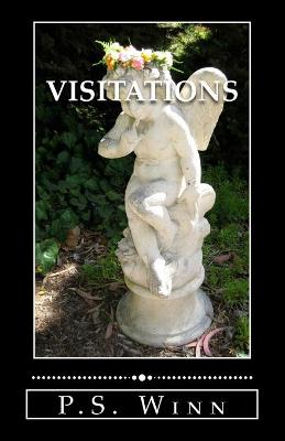 Book cover for Visitations