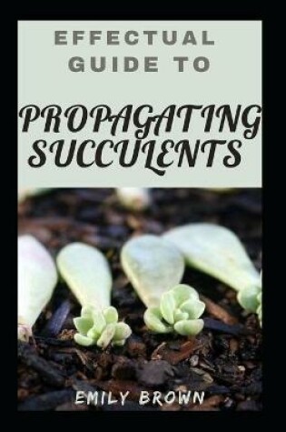 Cover of Effectual Guide To Propagating Succulents