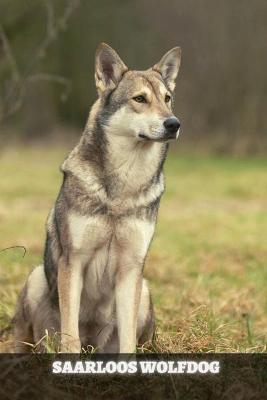 Book cover for Saarloos Wolfdog