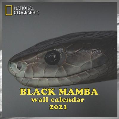 Book cover for Black Mamba 2021 Wall Calendar