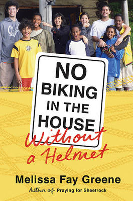 Book cover for No Biking in the House Without a Helmet