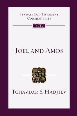 Cover of Joel and Amos