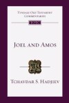 Book cover for Joel and Amos