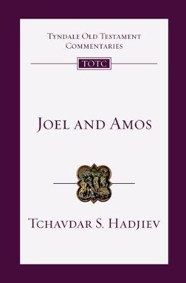 Book cover for Joel and Amos