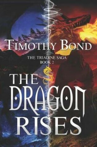 Cover of The Dragon Rises