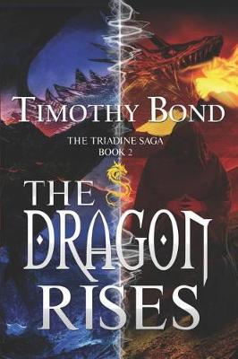 Book cover for The Dragon Rises