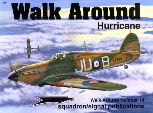 Book cover for Hurricane