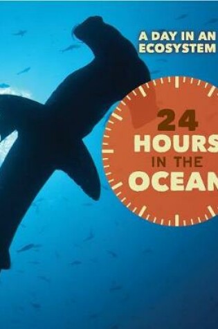 Cover of 24 Hours in the Ocean