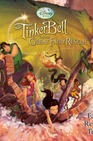 Cover of Fairy Rescue Team