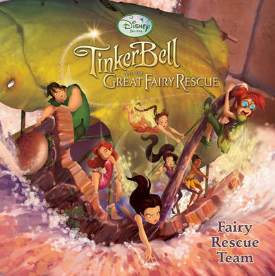 Book cover for Fairy Rescue Team