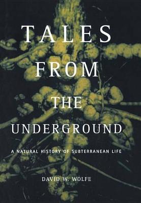 Book cover for Tales From The Underground