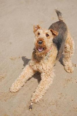 Book cover for Say Hello to the Airedale Terrier Dog Journal