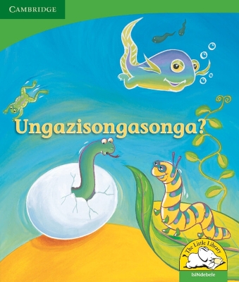 Book cover for Ungazisongasonga? (IsiNdebele)