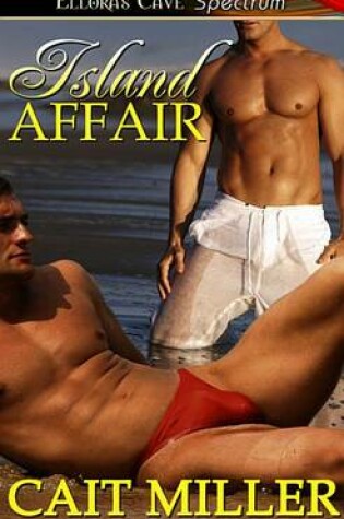 Cover of Island Affair