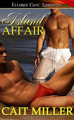 Book cover for Island Affair