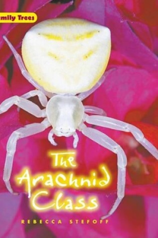 Cover of The Arachnid Class