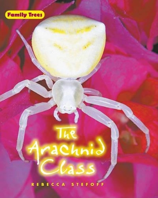 Book cover for The Arachnid Class